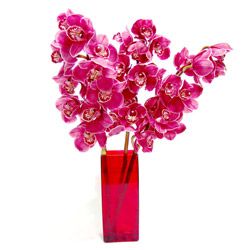  Ankara Glba rencik ucuz iek gnder  Cam yada mika vazo ierisinde 3 adet dal orkide