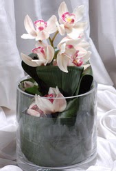  Ankara Glba Karaali dn iekleri Cam yada mika vazo ierisinde tek dal orkide