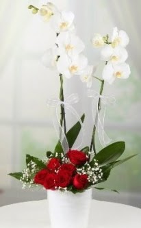 2 dall beyaz orkide 7 adet krmz gl  Ankara Glba 14 ubat sevgililer gn iek 