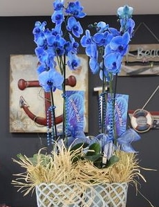4 dall zel mavi orkide  Ankara ncek Glba iek siparii